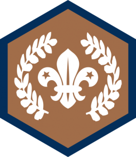 Chief Scout's Bronze Award Chief Scout's Bronze Award