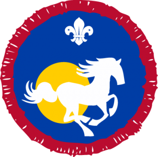 Equestrian Equestrian